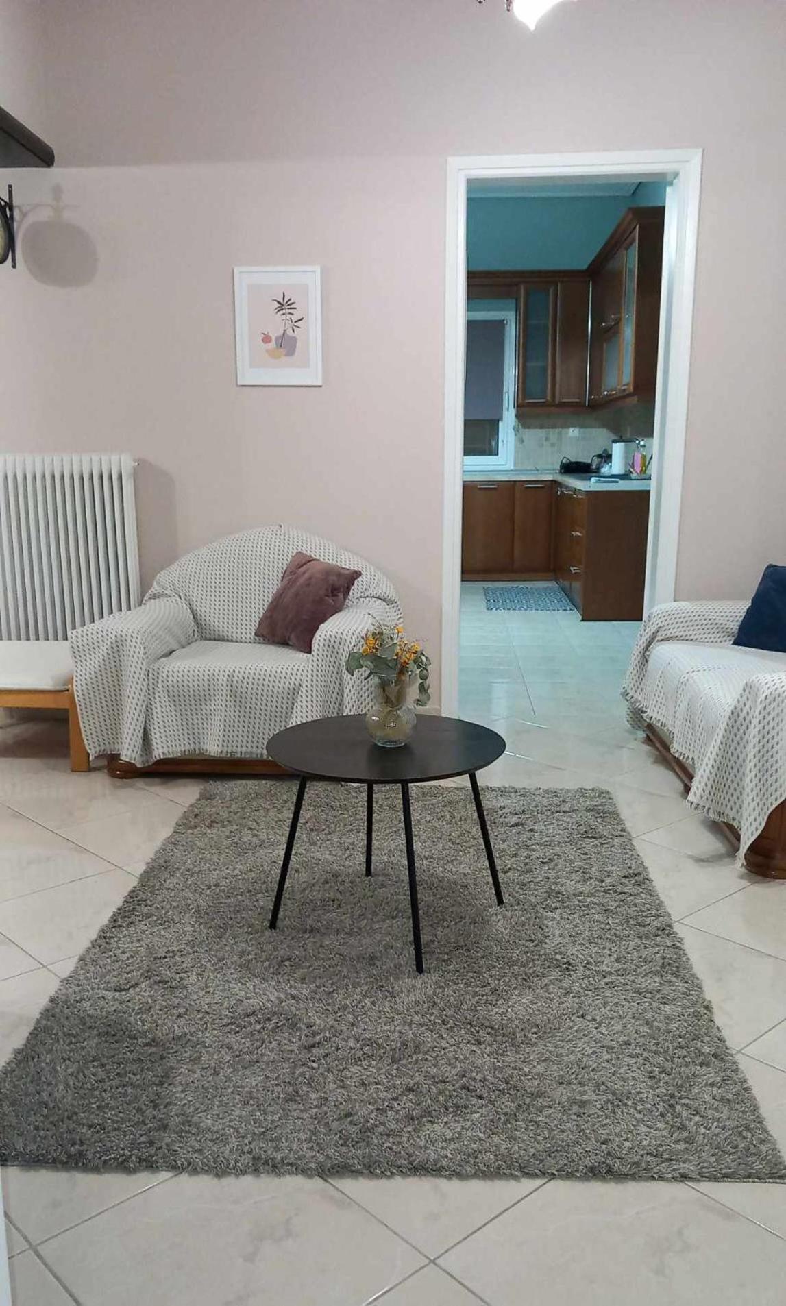 Appartamento Grand House Meteora Kalambaka Esterno foto